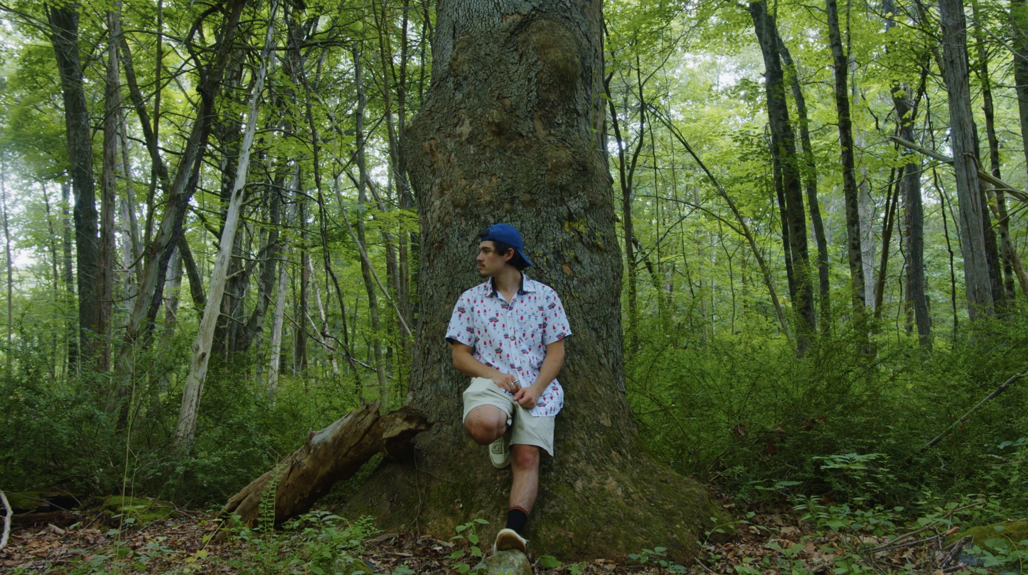 Your Solitude is More Important than you think