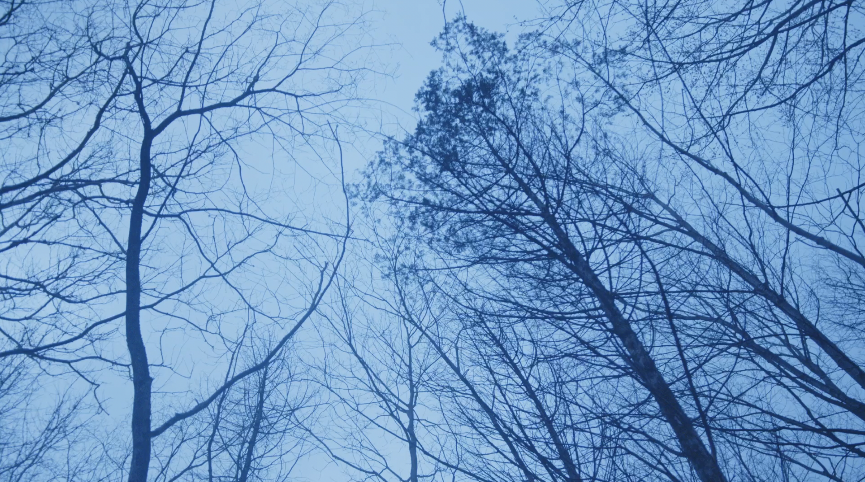 Art in every breathe