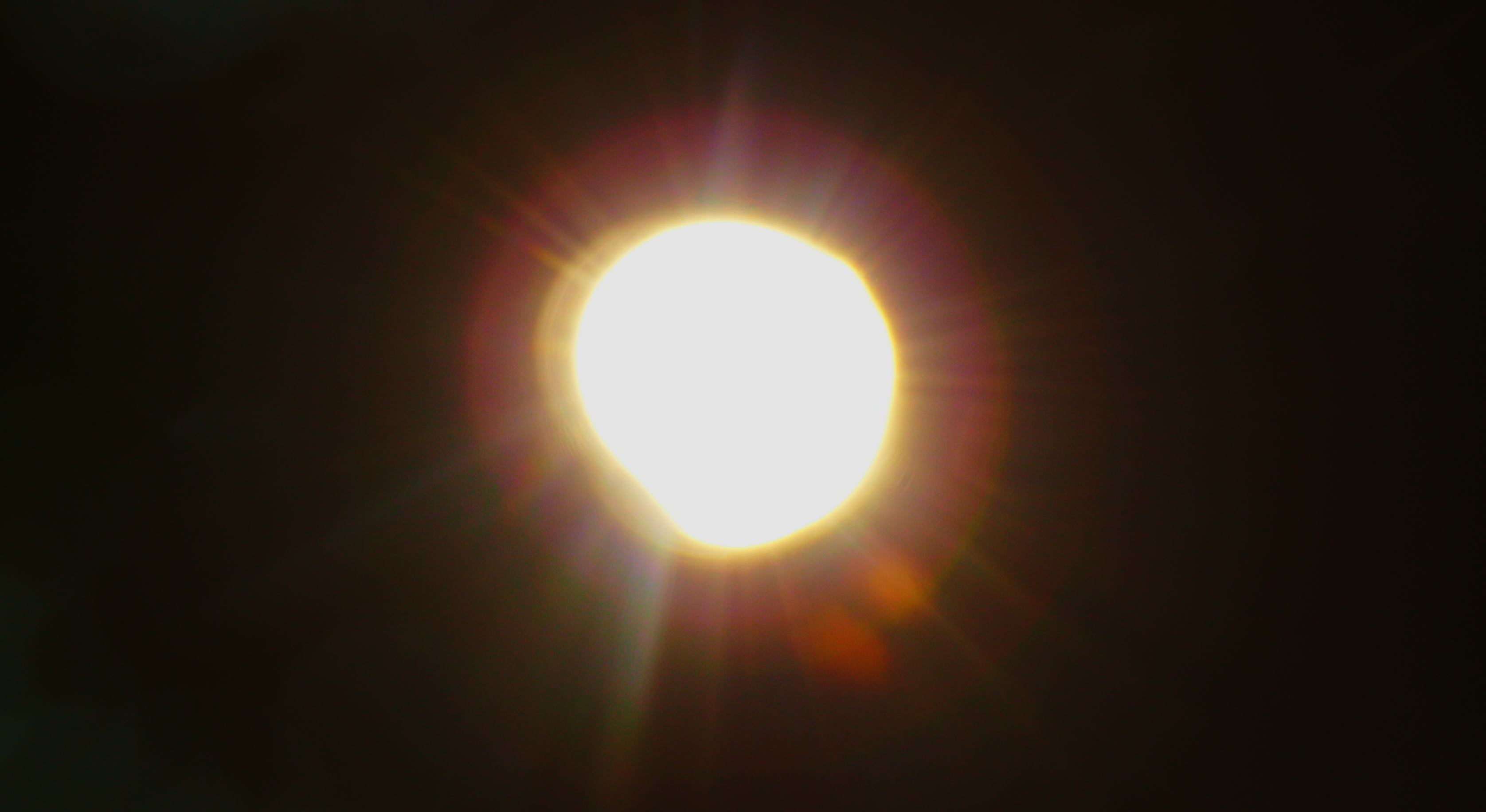 Finding Joy in The Work