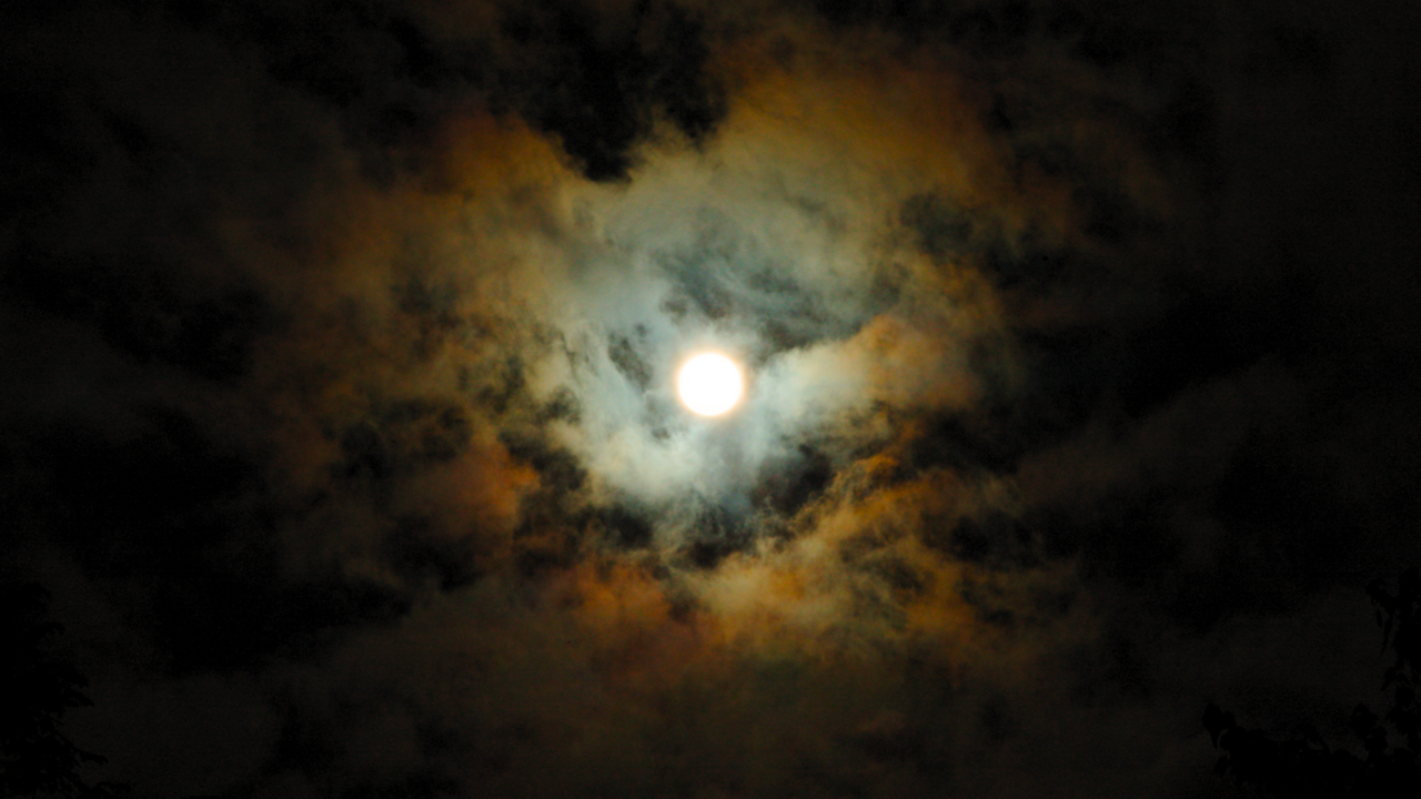 the dreams of the soul